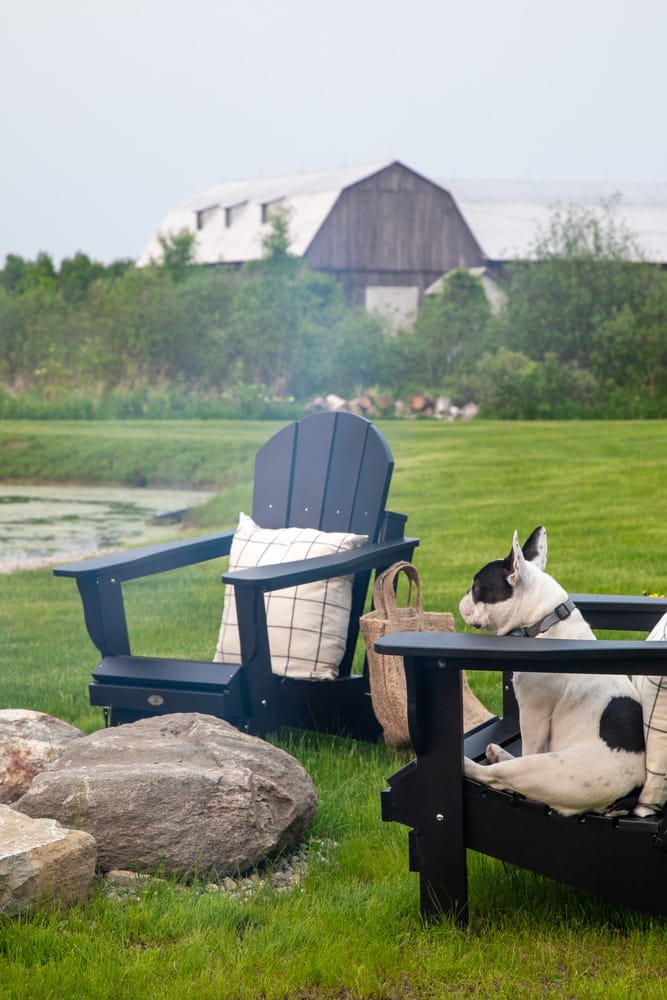 2026 One of One awards Ottawa interior design pet photo Adirondack chairs farm Muskoka chairs