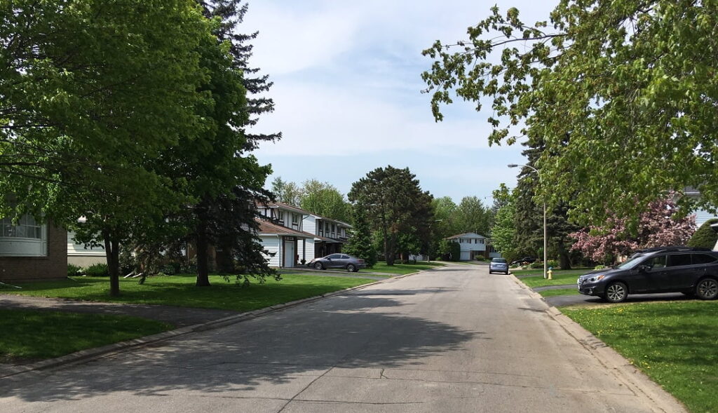 Blackburn mature neighbourhood trees streetscape resized