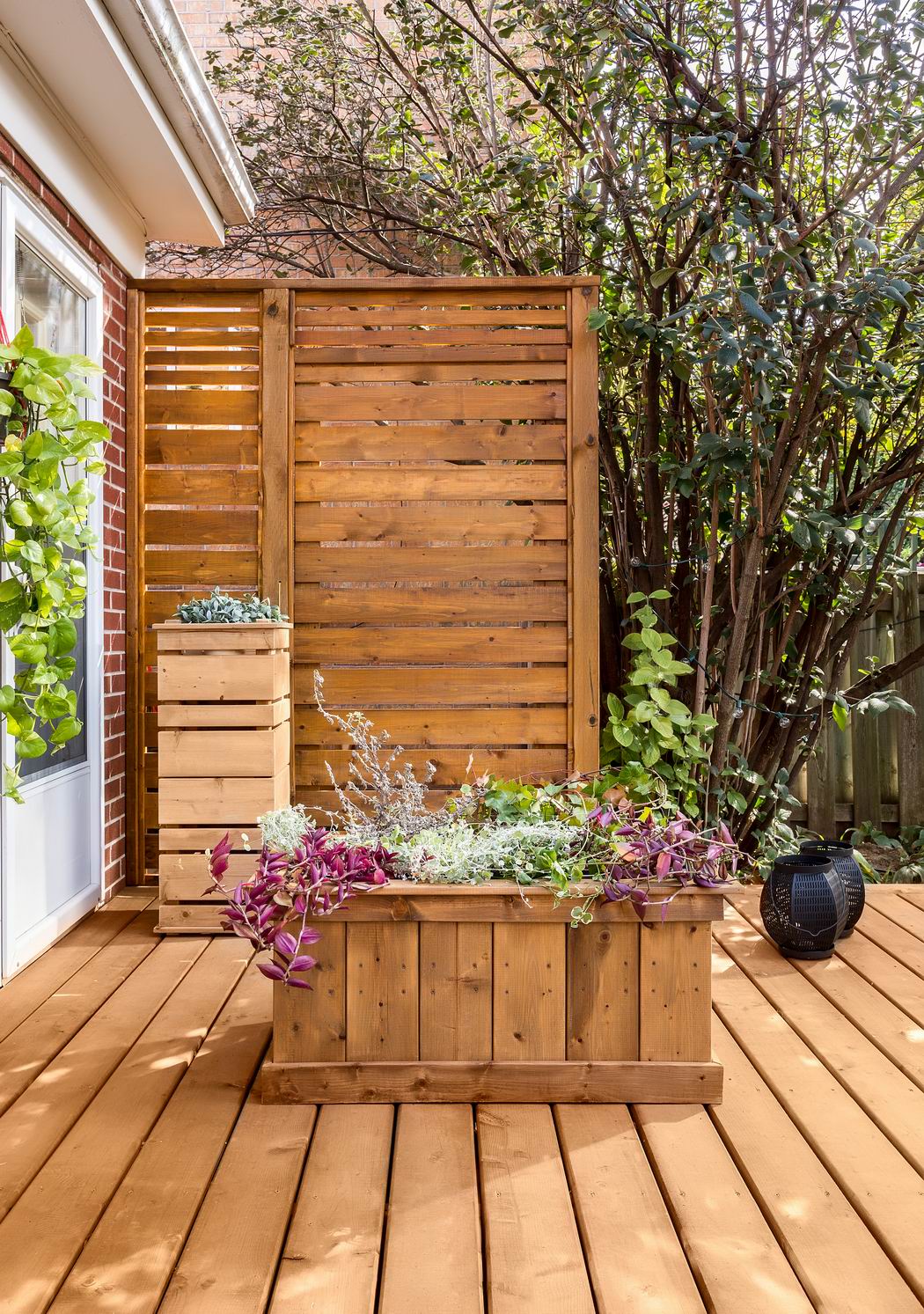 Backyard privacy solutions to enhance outdoor living — allthingshome.ca