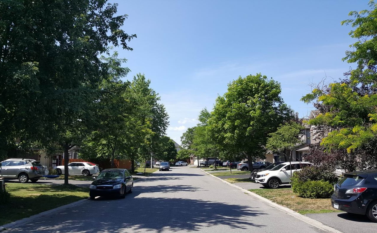 how a neighbourhood matures Ottawa new homes