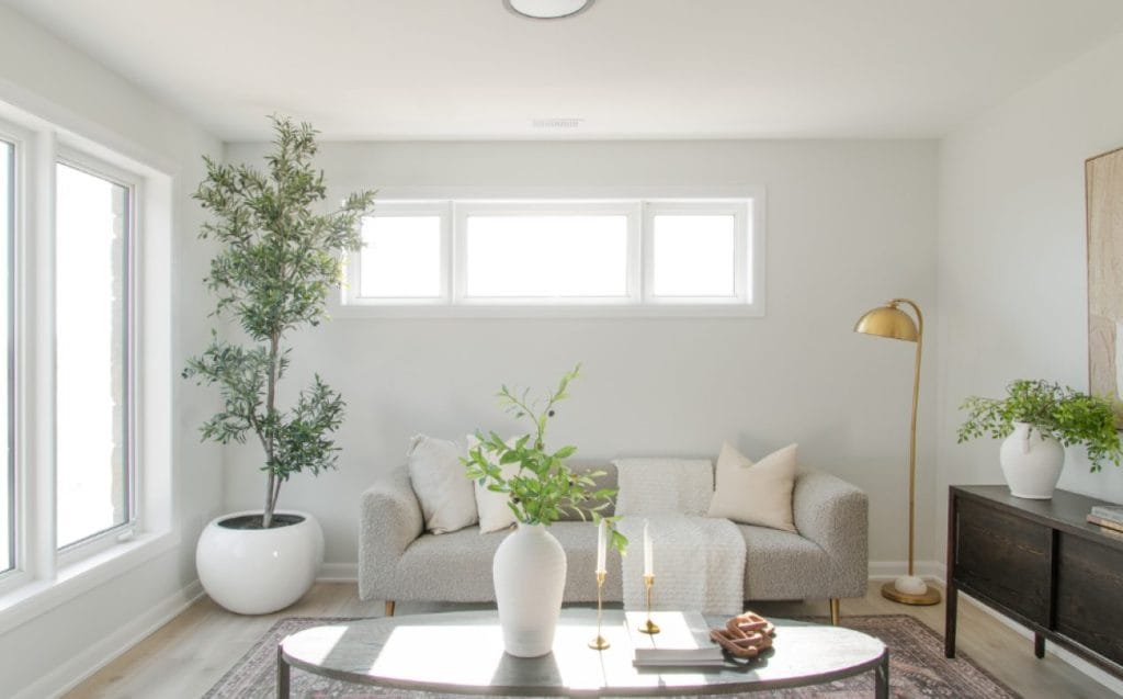 Anthem Quinn's Pointe Minto model home Metro Townhome