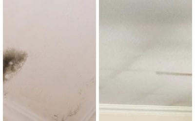 The Conscious Builder, energy efficiency, mould