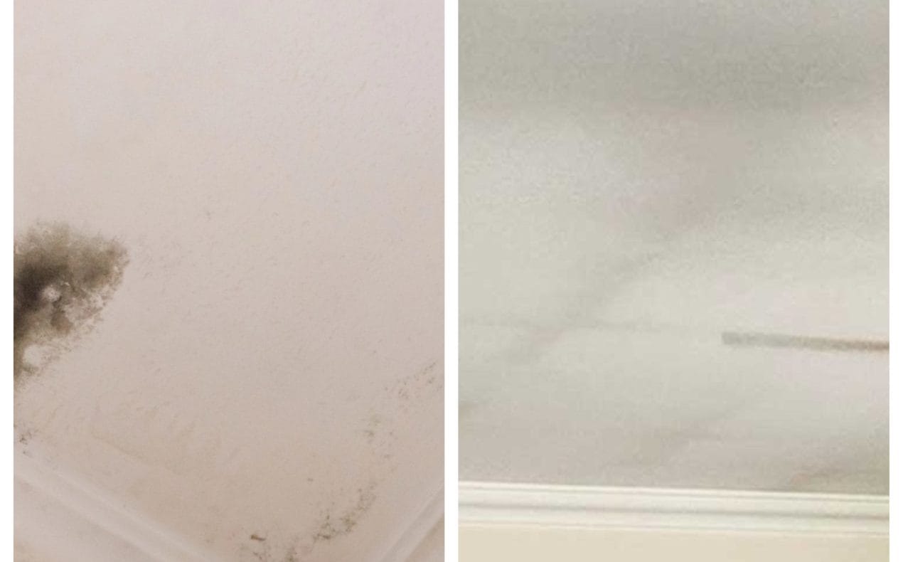 The Conscious Builder, energy efficiency, mould