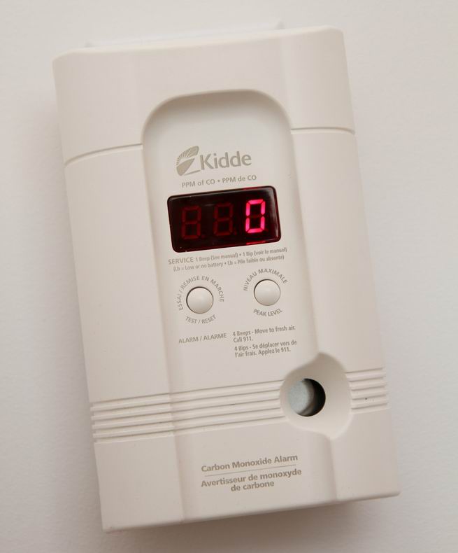 carbon monoxide detector Steve Maxwell home improvement