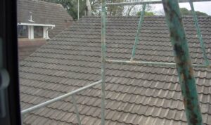 REN new roof Steve Maxwell roof tiles