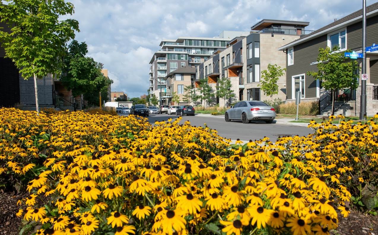 2020 Housing Design Awards Ottawa housing winners