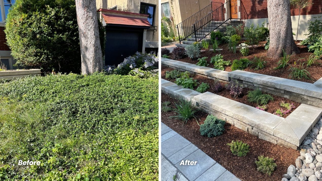 Artistic Landscape Designs before and after sloped front yard, terraced garden