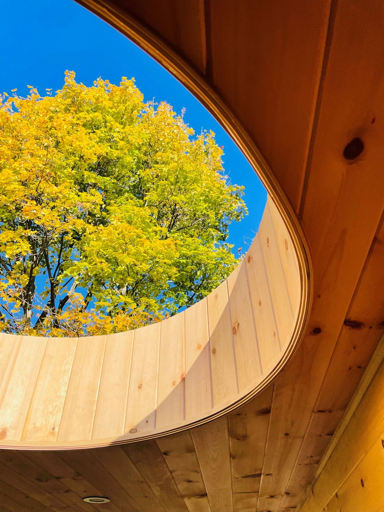 curves ottawa renovation covered deck 25:8 architecture ceiling cutout