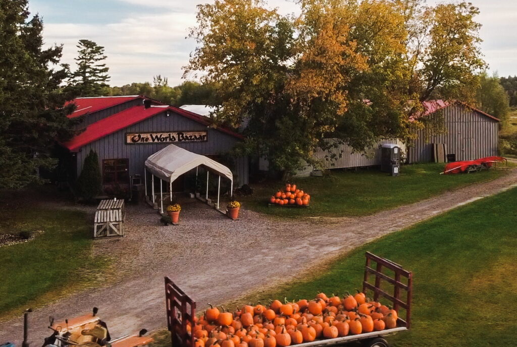 one world bazaar manotick station barn