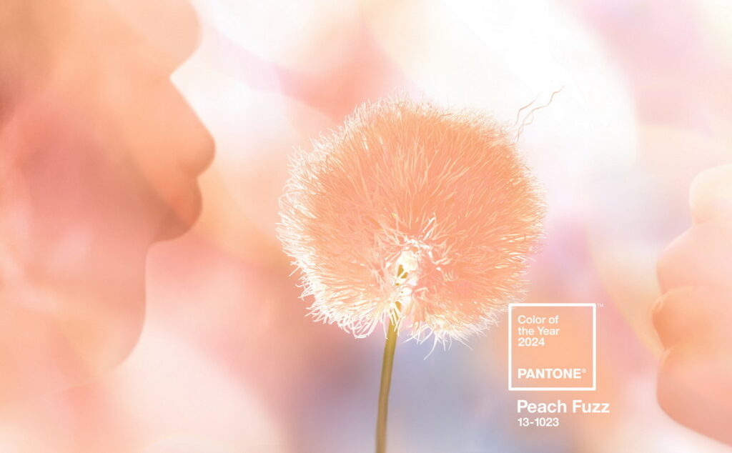 pantone color of the year colour peach fuzz