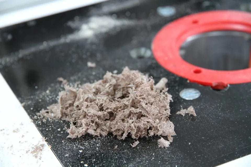 closeup photo of shavings from a piece of Trex composite wood