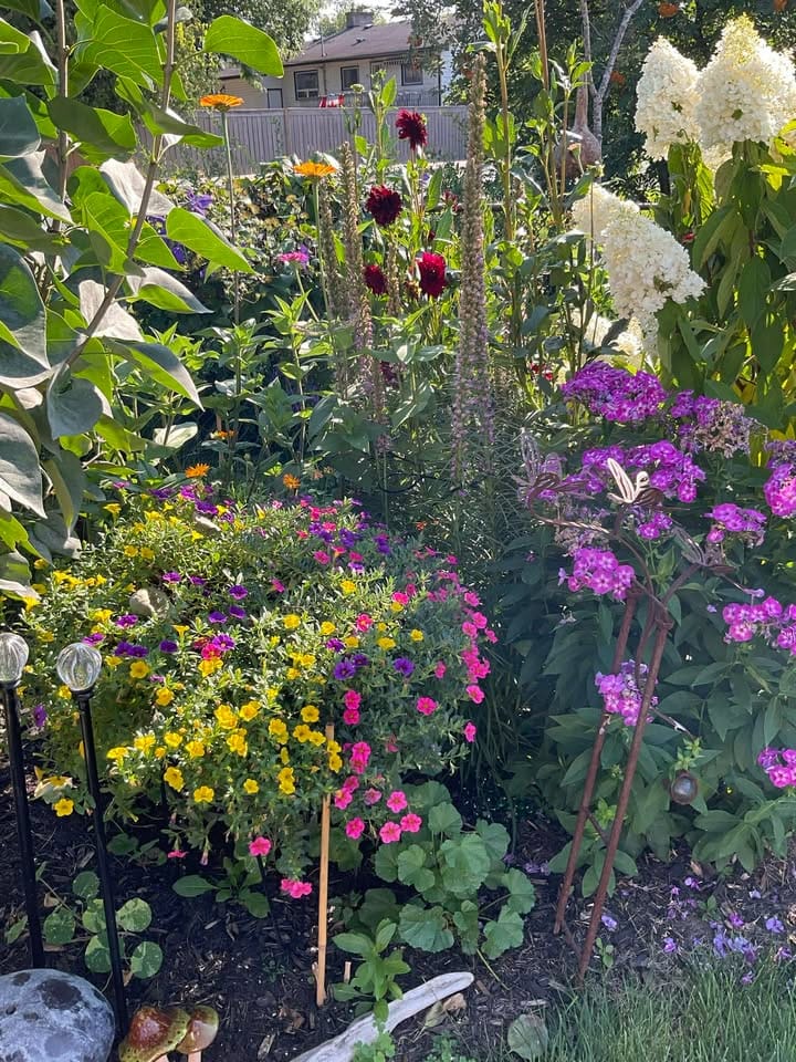 sue pitchforth garden planning