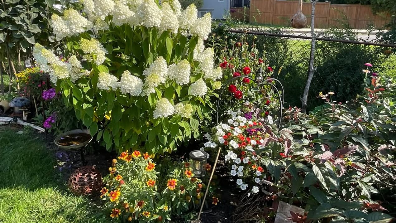 sue pitchforth design dreaming garden planning