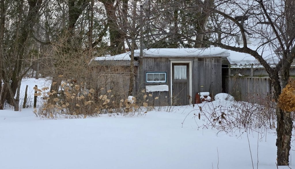 sue pitchforth shed winter