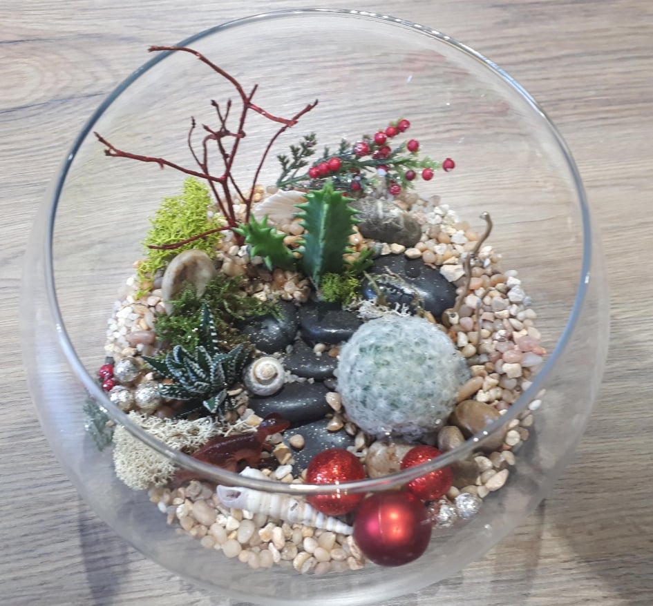 succulent terrarium