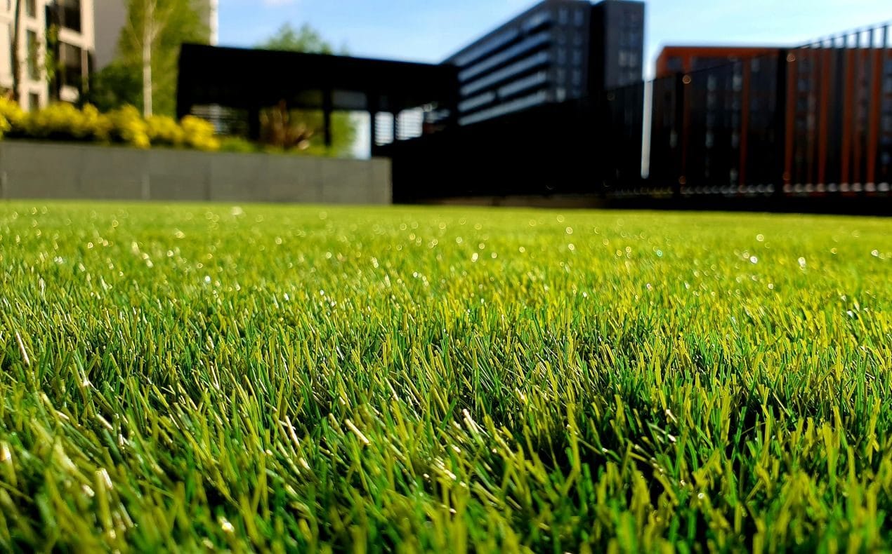 A healthy lawn needs regular watering, careful cutting and fertilizer, says Nutri-Lawn