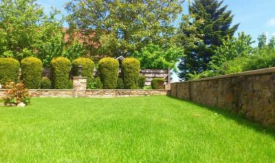 lawn advice Carson Arthur