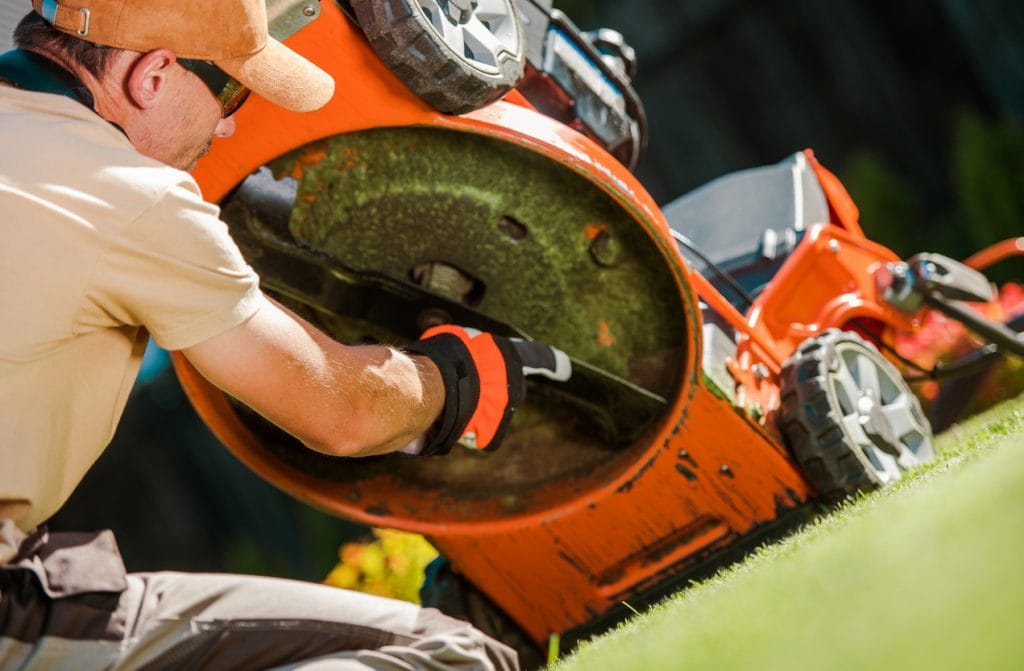 steve maxwell lawn mower