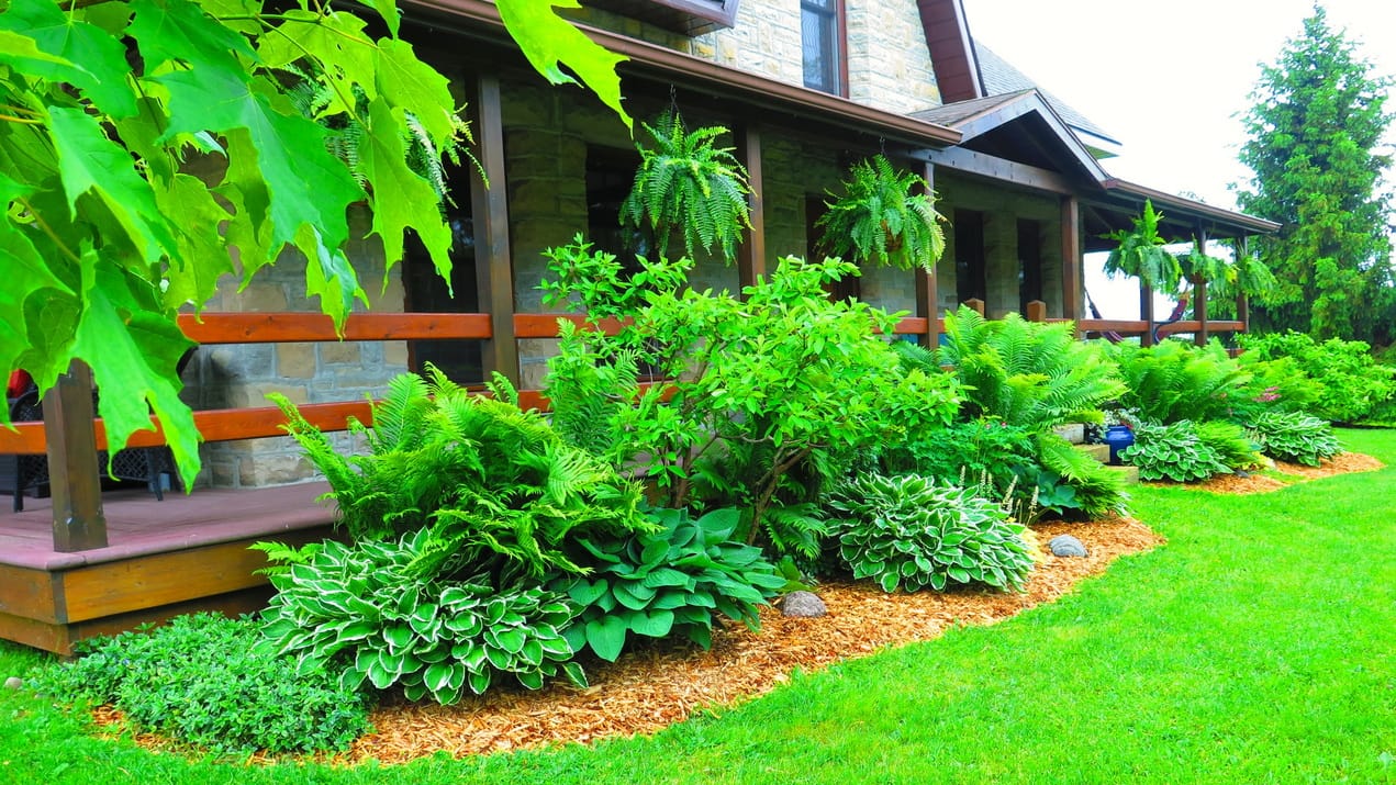 photo of the front of a rural home with large perennial flower bed in front showing mulched soil