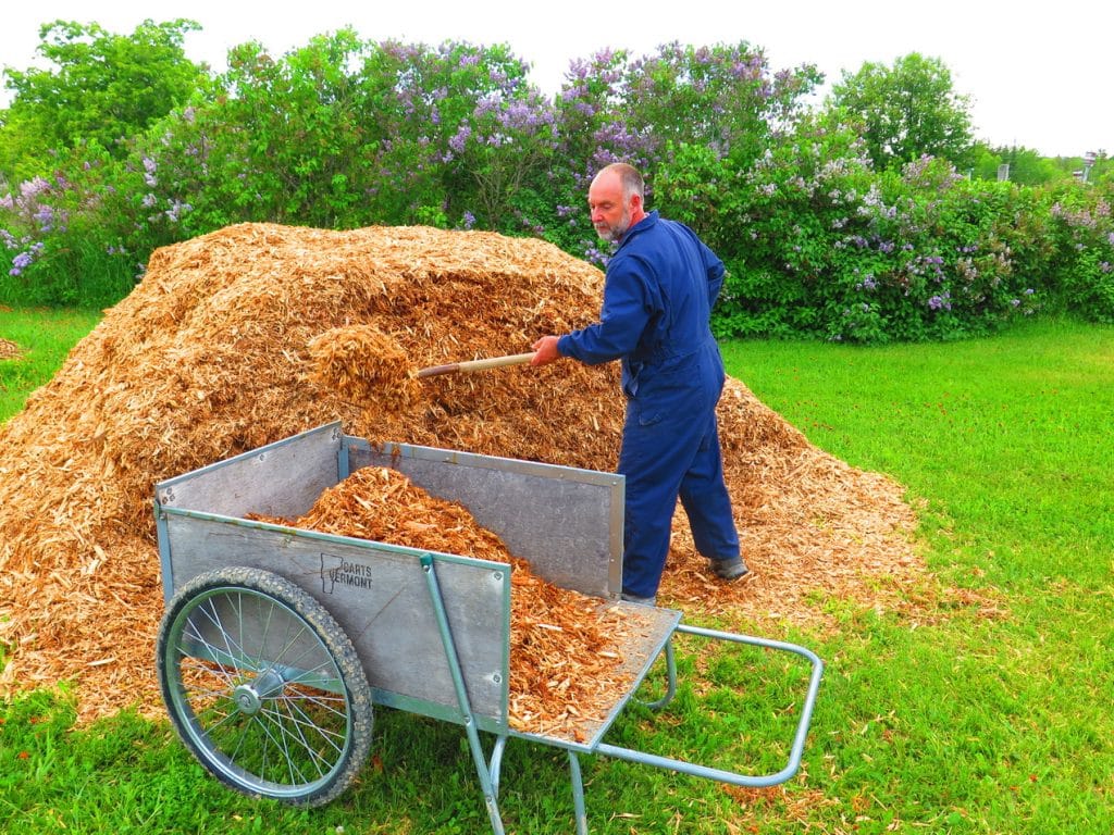 photo of Steve Maxwell shovelling a large pile of mulch into a garden cart