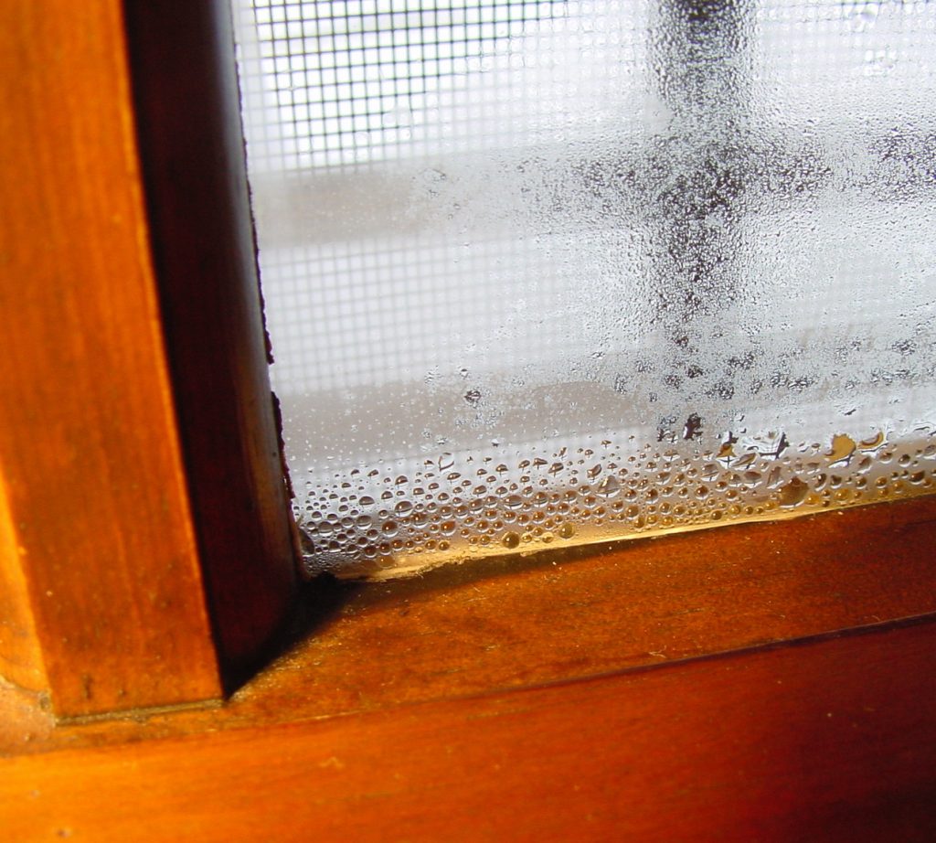 dry house steve maxwell humidity window condensation