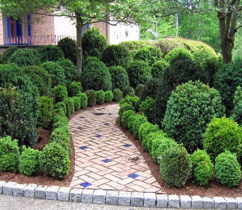 fake garden ai-generated boxwood
