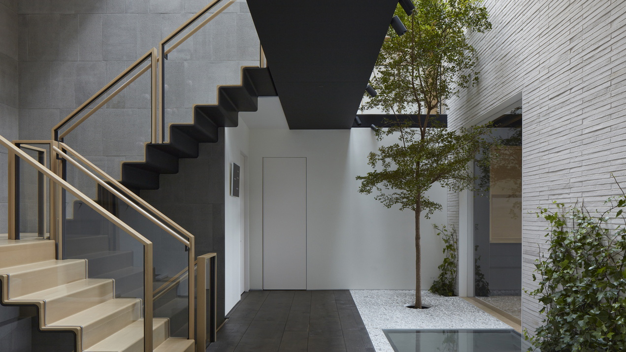 biophilic design ottawa new homes renovations interior design embracing nature Shean Architects Cada Construction