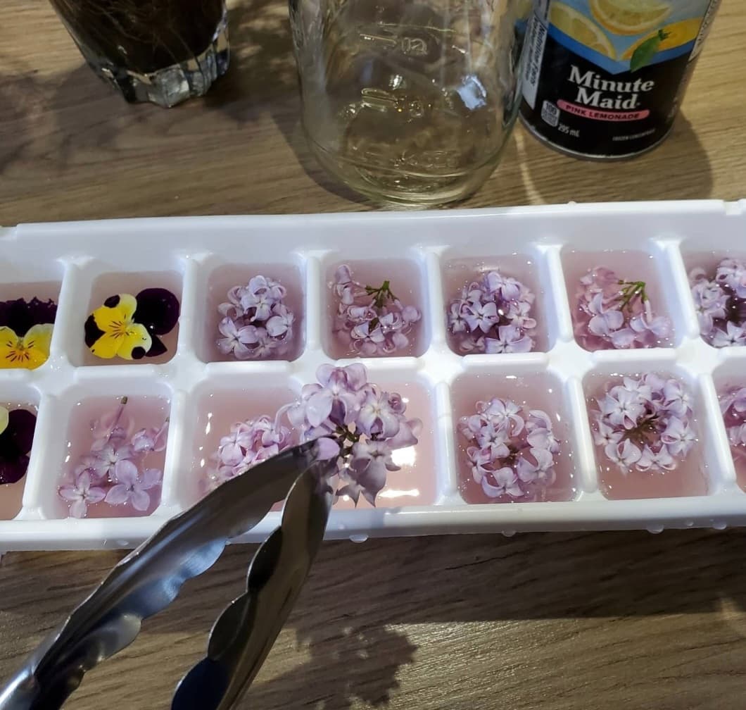 sue pitchforth flower ice cubes