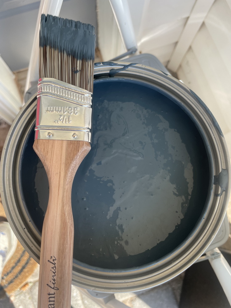 sue pitchforth painting